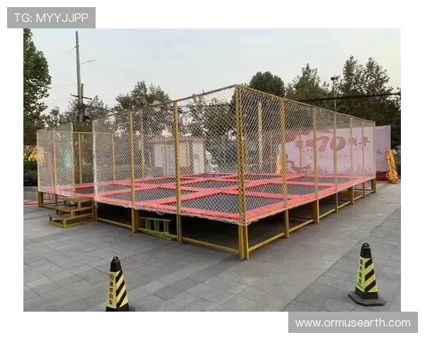 乐动体育蹦床用户评价与使用体验分享，帮助你选择最适合的运动设备