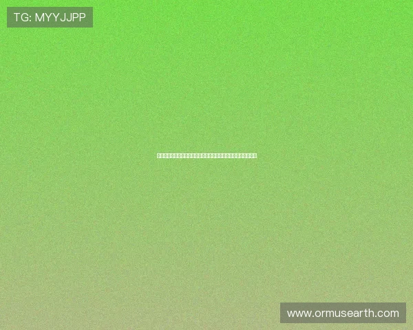 法国与塞内加尔世界杯比赛控球率对比及影响比赛结果的因素分析
