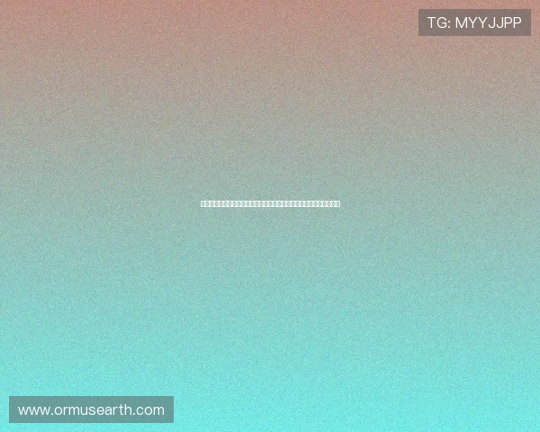 完美真人版：深入分析世界杯比赛中的精彩瞬间与明星球员的精彩表现